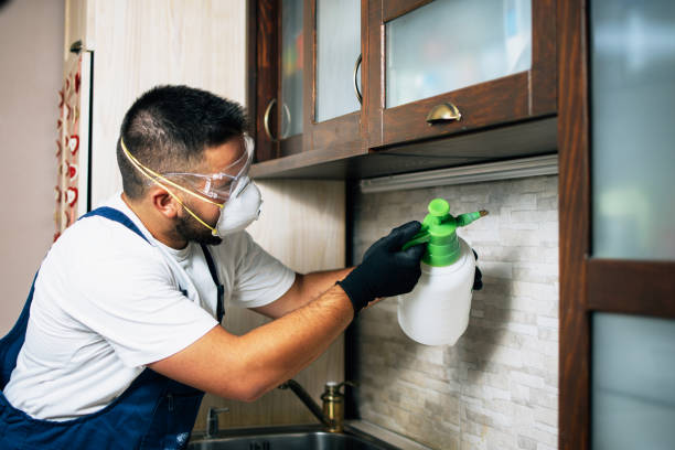 Best Pest Control Near Me in Larned, KS