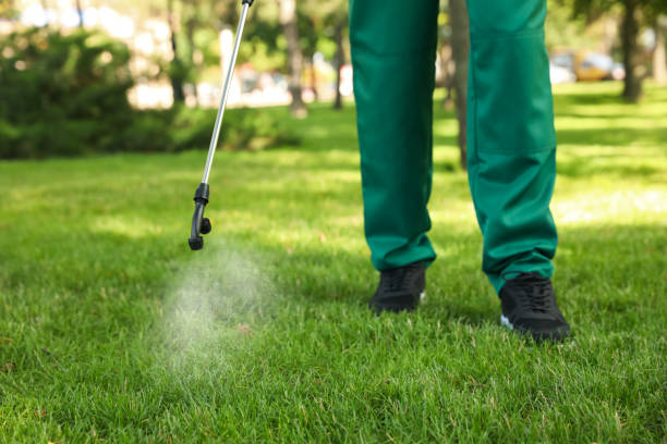 Insect Control in Larned, KS