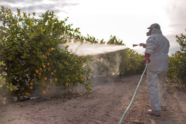 Best Pest Prevention Services  in Larned, KS