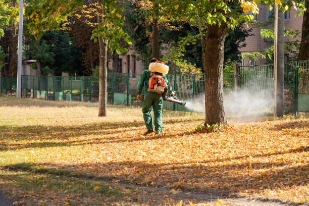 Professional Pest Control in Larned, KS