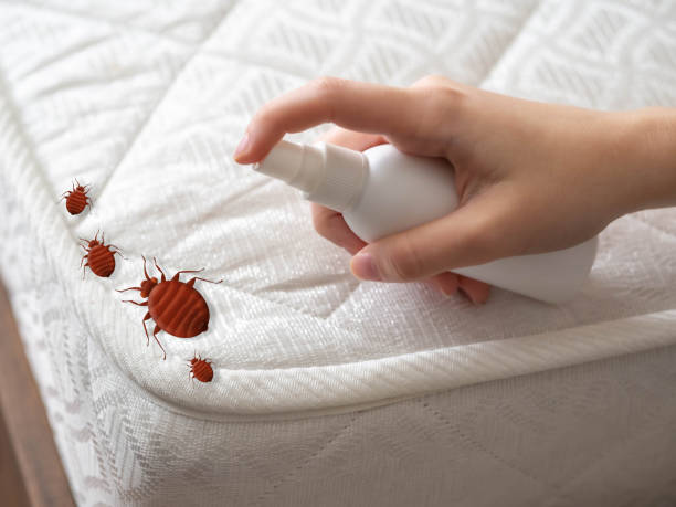 Best Best Pest Control Companies  in Larned, KS