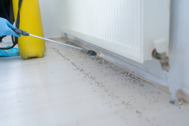 Best Cockroach Control Services  in Larned, KS